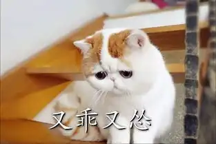  情侣吵架表情包