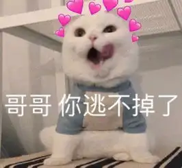  猫咪表情包在出来玩