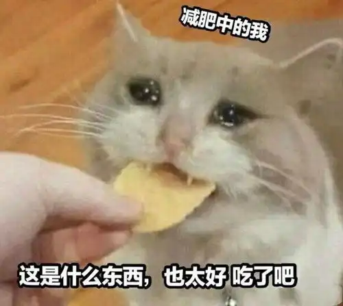  猫猫干饭表情包您好,我是来应聘干饭王哒
