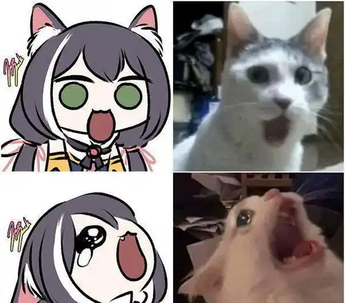  家里有猫多欢乐画师大佬把猫咪和公主连结做了结合,快给我变