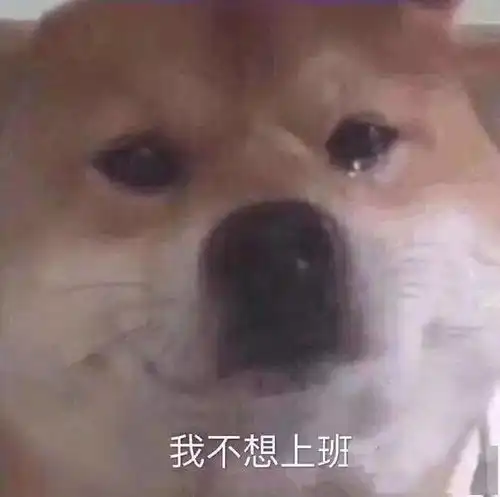  说服自己上班的26个理由