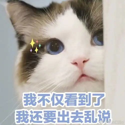  不弱了,我现在膨胀到觉得自己是cp锦鲤,我cp今晚...