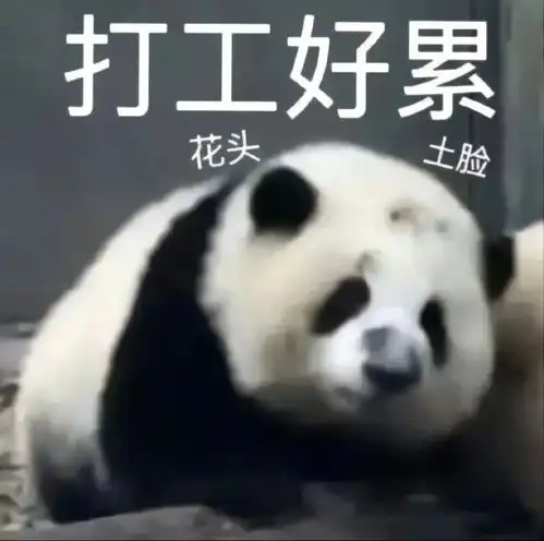  一组熊猫表情包