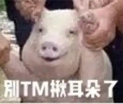 猪被打表情包我将
