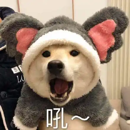  圣诞节表情包二哈版今夜,我就是你的圣诞礼物