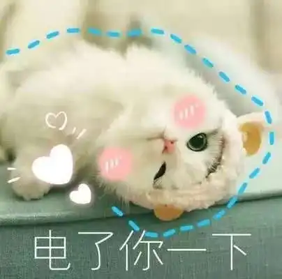  表情包软萌猫咪撒娇卖萌系列软妹必备