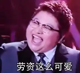 不一样表情包韩红