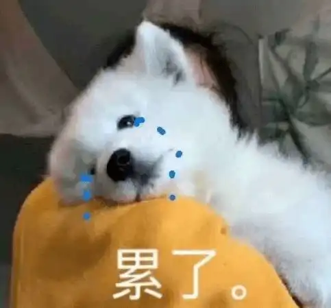  凌晨1点,一位失眠的hr向老板表白