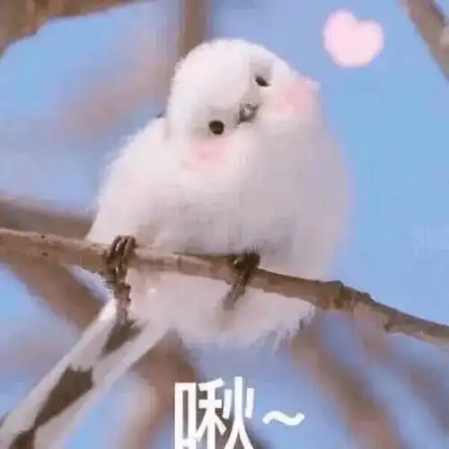  e句话看天下丨欢迎神十二航天员回家