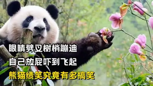  眼睛劈叉树梢蹦迪,自己放屁吓到飞起,熊猫绩笑究竟有多搞笑