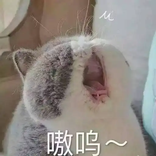  有趣
