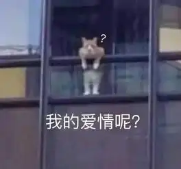  搞笑表情包停一下打个广告,处对象加我