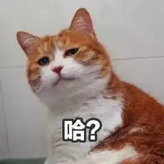 猫咪冲刺表情包野鸡大学