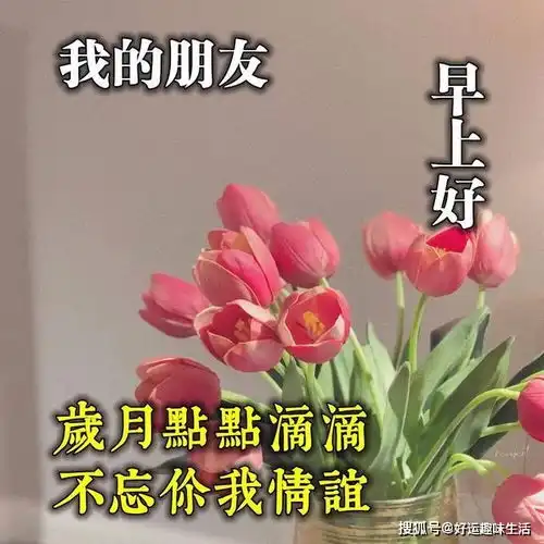  一声问候,送来温馨甜蜜一条信息,捎去我万般心意,早安祝福语一生