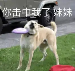  搞笑狗子表情包撩到你了吗,妹妹