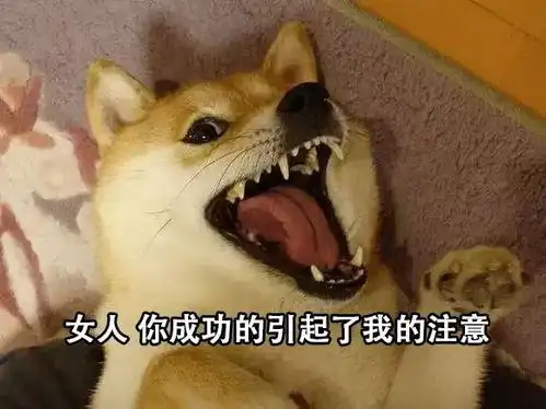  杠精皇帝遇上腹切黑女主,于是这部剧崛起成为了暑期档的一匹黑马丨次元杂谈