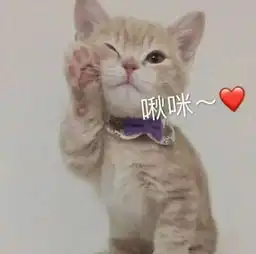  新生攻略入学教育报告全新开启