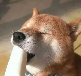  气温每升高1,这种病人就多一拨太原这几天都在30以上