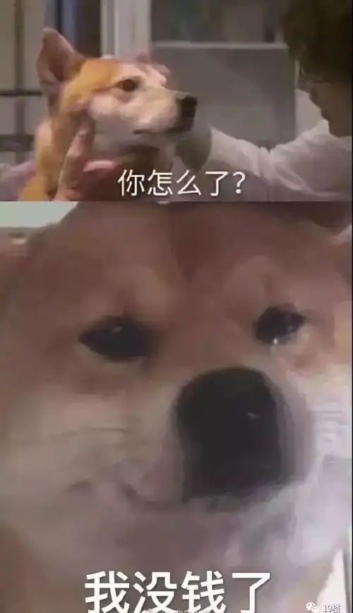  支付宝年账单来了,朋友圈一片哀嚎花的比年薪还高呀