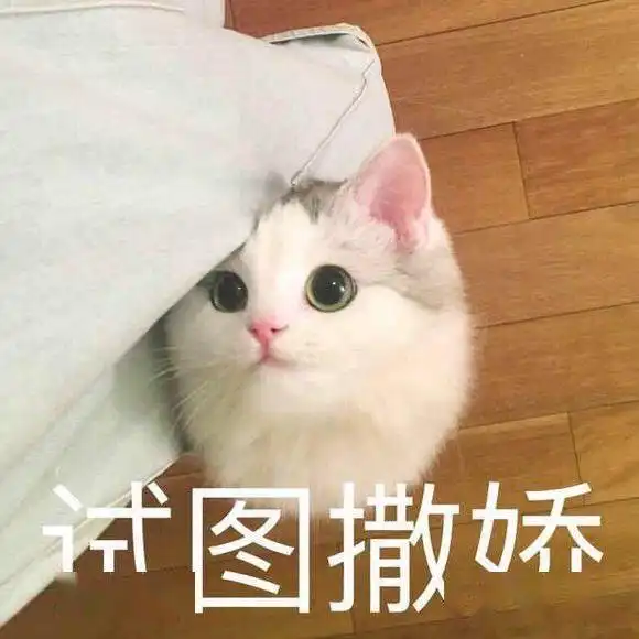 好不好嘛表情包撒娇养猫