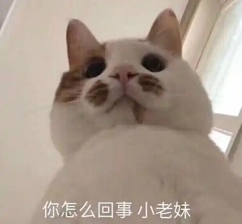 menherachan酱表情包老