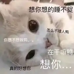  哄男女朋友专用表情包
