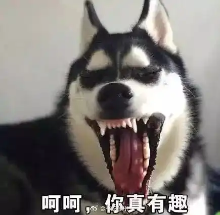  还没看神奇动物在哪里没关系,你错过的神奇动物都在这里