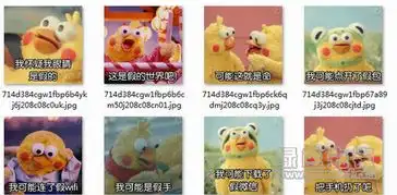  鹦鹉兄弟我可能开了假红包表情包鹦鹉兄弟表情包v2017高清版软件下载