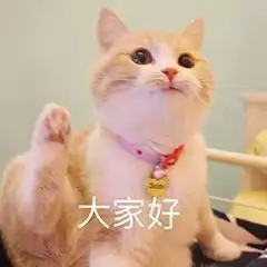  唯美食和我不可辜负