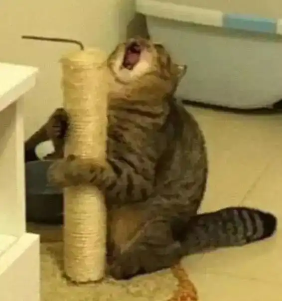  老师你画成这样,我tm不敢教了