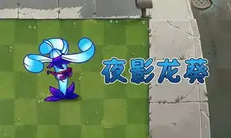  植物大战僵尸2暗影一族秒杀记夜色下很美