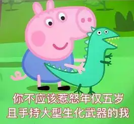 表情包战争图鉴小猪