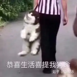 藏语问候表情包祝福