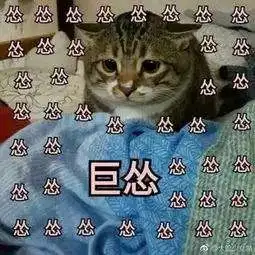  年轻人认怂守则算了