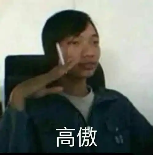 表情包委屈的像个二百斤的孩子 表情包委屈的像个二百斤的孩子