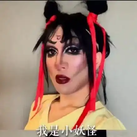  一夜爆火韩美娟表情包你的报应就是我