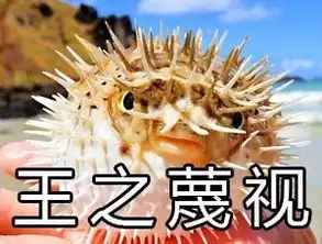  河豚生气表情包