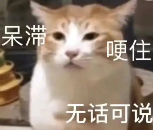  微信崩了网友能不能周二再修