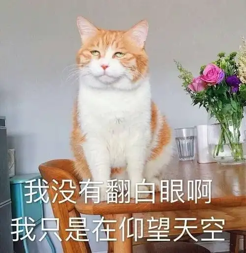  我在路上遇见了好多练习生