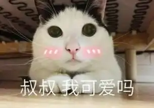  铲屎官真的不好当细数我家猫咪的怪癖