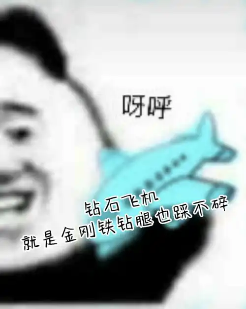  玩个飞机表情包分享