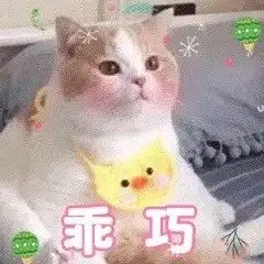  表情包别的小朋友都有圣诞礼物,我的呢