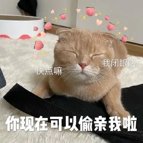  值得你收藏沙雕的表情包