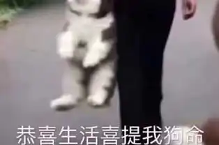  天呐噜没想到购买ddos高防服务的套路这么深