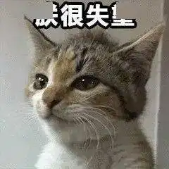 可爱的猫咪表情大全,请收藏备用 可爱的猫咪表情大全,请收藏备用