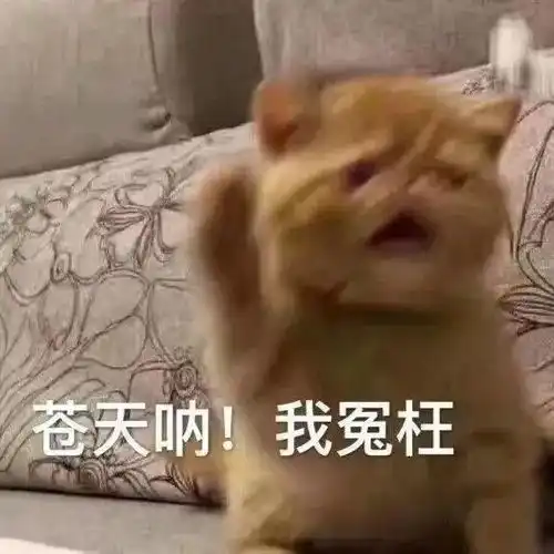 哄女朋友开心的表情包,低头认错 哄女朋友开心的表情包,低头认错