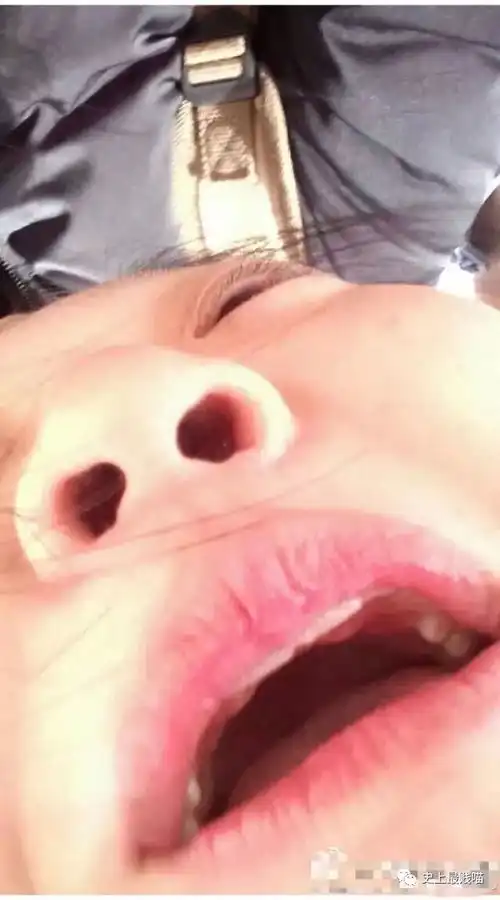  网友举办失败摄影图片大赛每一张都是表情包简直笑尿