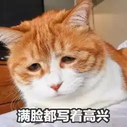  表情包系统提示,吸猫人士还有5秒到达斗图现场