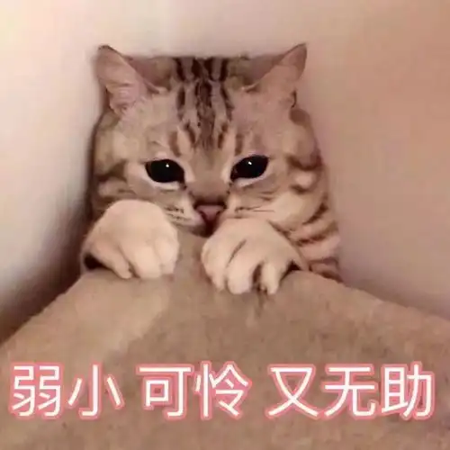  年关将至,我要回家
