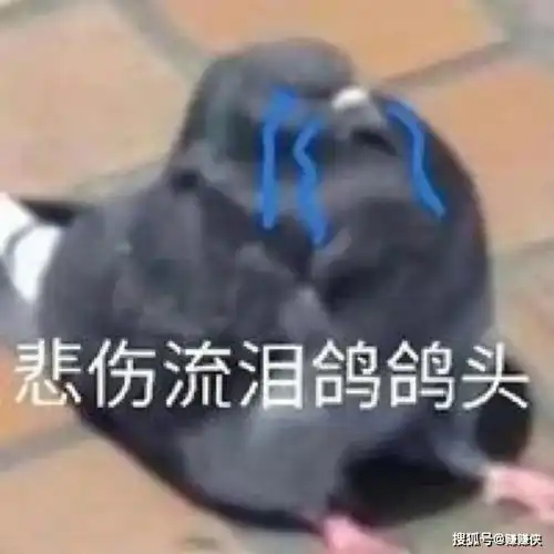 野人图片表情包我不管